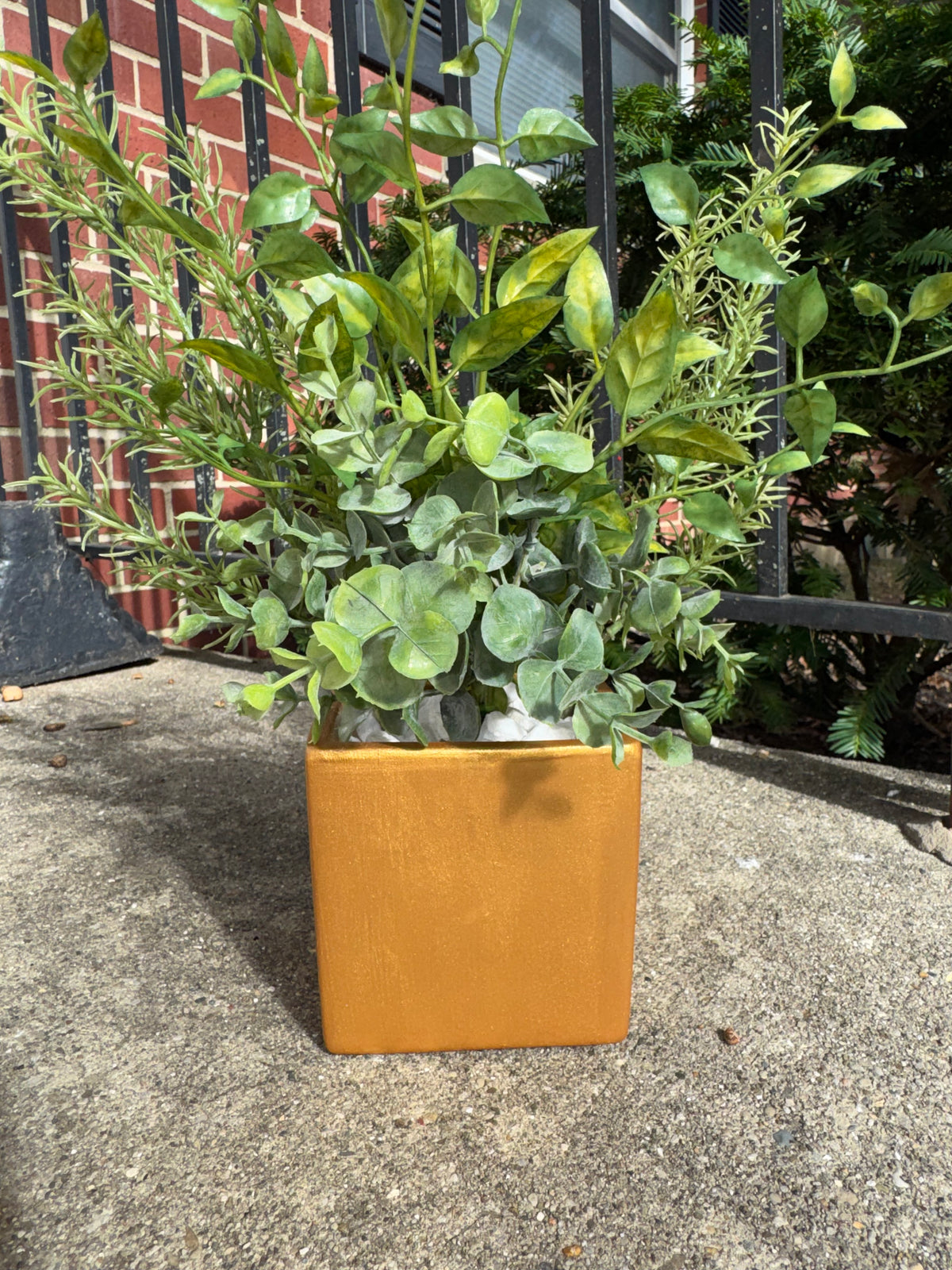 Greenery plant